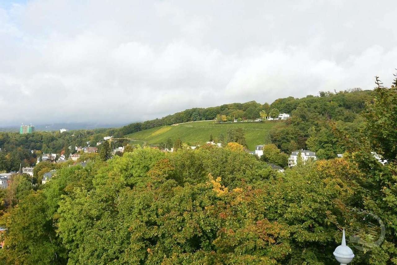 Ausblick Ausblick