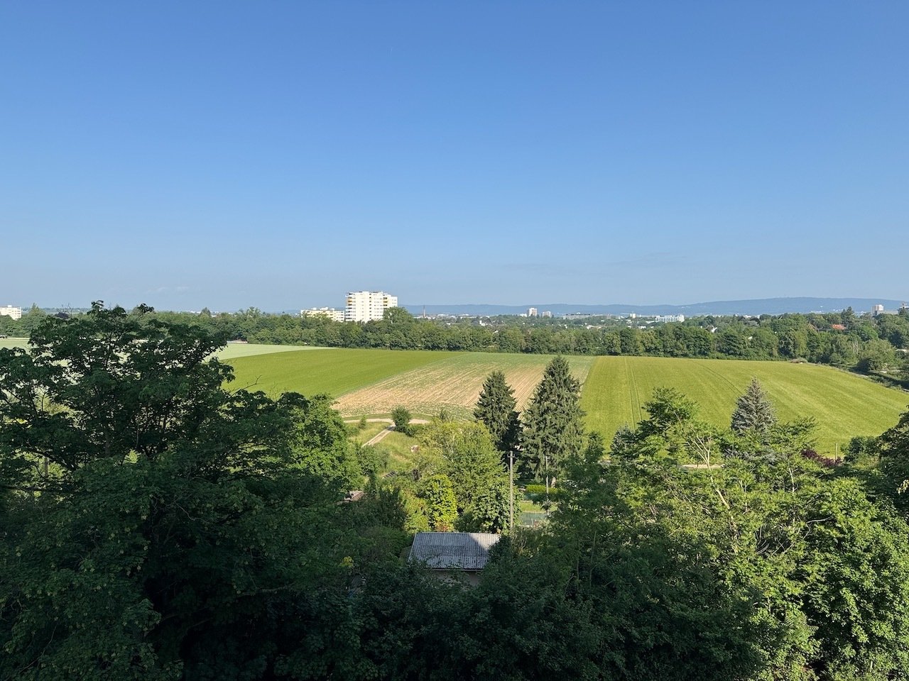 Ausblick 